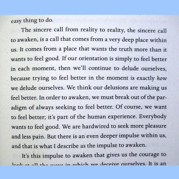 Book: The End of Your World by Adyashanti - Picture 4 of 12
